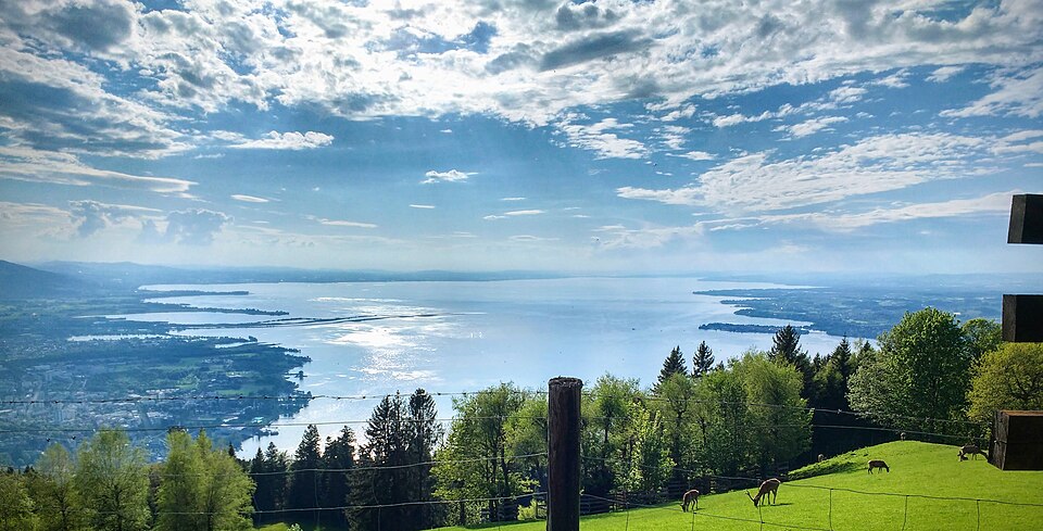 A broad panorama across Lake Constance seen from the Pfänder mountain above Bregenz.